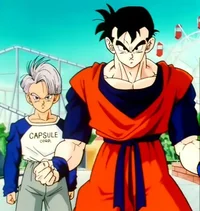 Gohan and Trunks