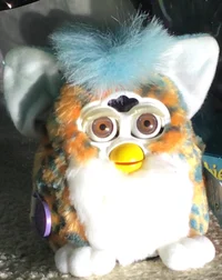 Tater tot the furby