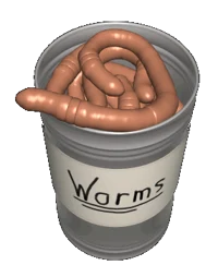 Worms