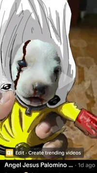 Saitama dog