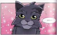 Graystripe