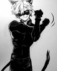 Chat Noir