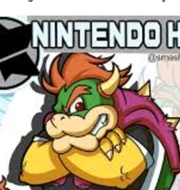 NH Bowser