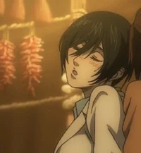 Mikasa drunk au