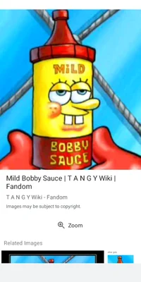 Mild bobby sauce