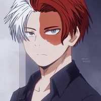 Shoto Todoroki