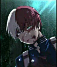 Shoto todoroki 