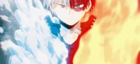 Shoto todoroki 