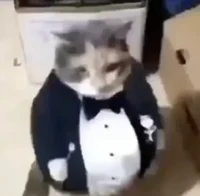 Description Read WIP