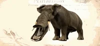 Platybelodon 