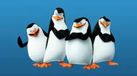 Penguins of madagasc