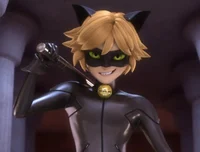 Chat Noir