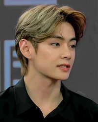 Kim Taehyung 