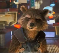 Rocket raccon spank