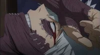 Touya todorki