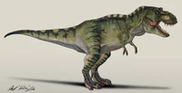 MALE TREX