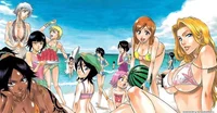 Bleach Harem