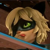 Cat noir
