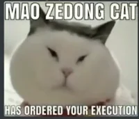 mao zedong cat