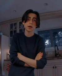 Aidan Gallagher 