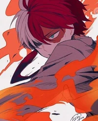 Shoto todoroki 