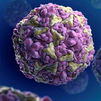 Rhinovirus