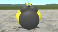 Overweight Zeraora 