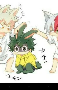 Izuko kacha todoroki