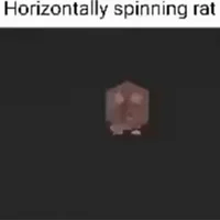Spinning Rat