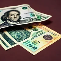 GetAdoptedByARichFam