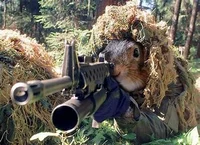 Squirrel facts