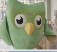 Duolingo
