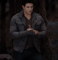Emmett Cullen 