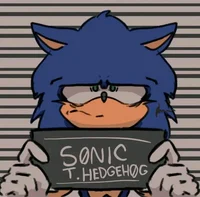 Sonic in jail