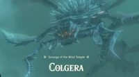 Fem Colgera 
