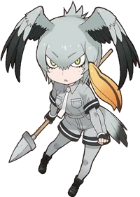 Shoebill