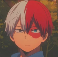Shoto todoroki 