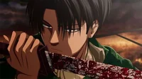 Levi Ackerman 