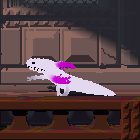Salamander lizard