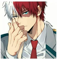 Todoroki - HUSBAND