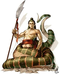 Naga
