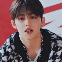 Seungcheol 