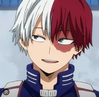 Shoto Todoroki