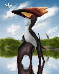 Thalassodromeus