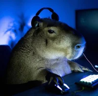 Capybara gamer