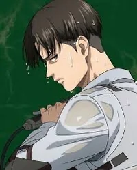 Levi Ackerman 