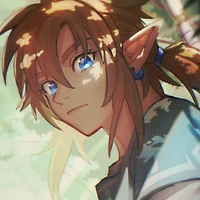 Link BOTW