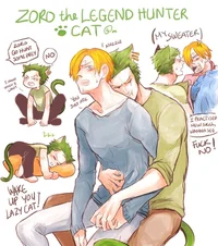 Cat Zoro