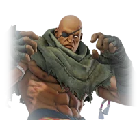 Sagat
