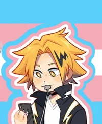 Transgender denki